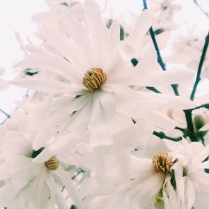 Meet your Posher, Asia